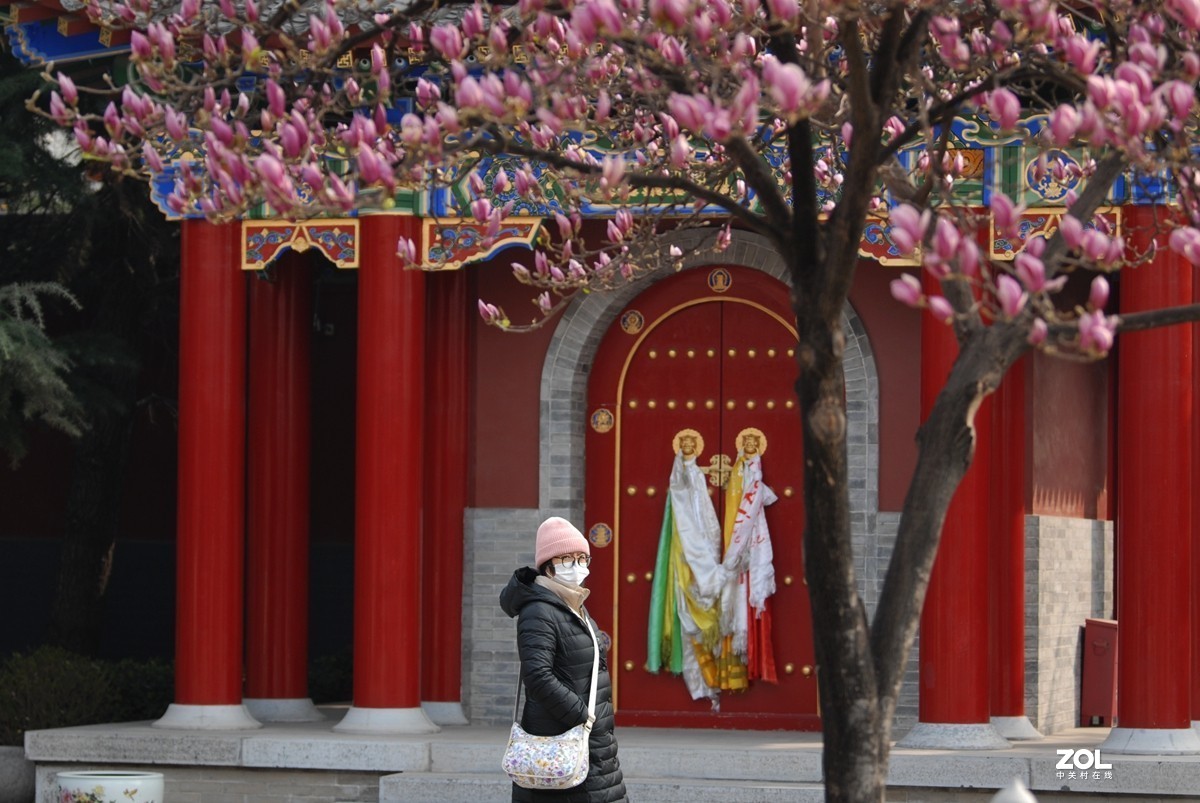 春游广仁寺