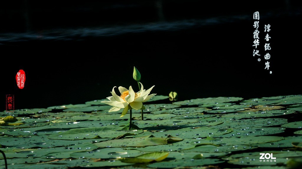 浮香绕曲岸，圆影覆华池。