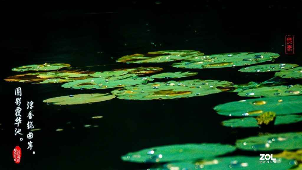 浮香绕曲岸，圆影覆华池。