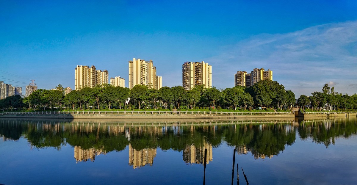 花 地 河 晨 运 隨 拍