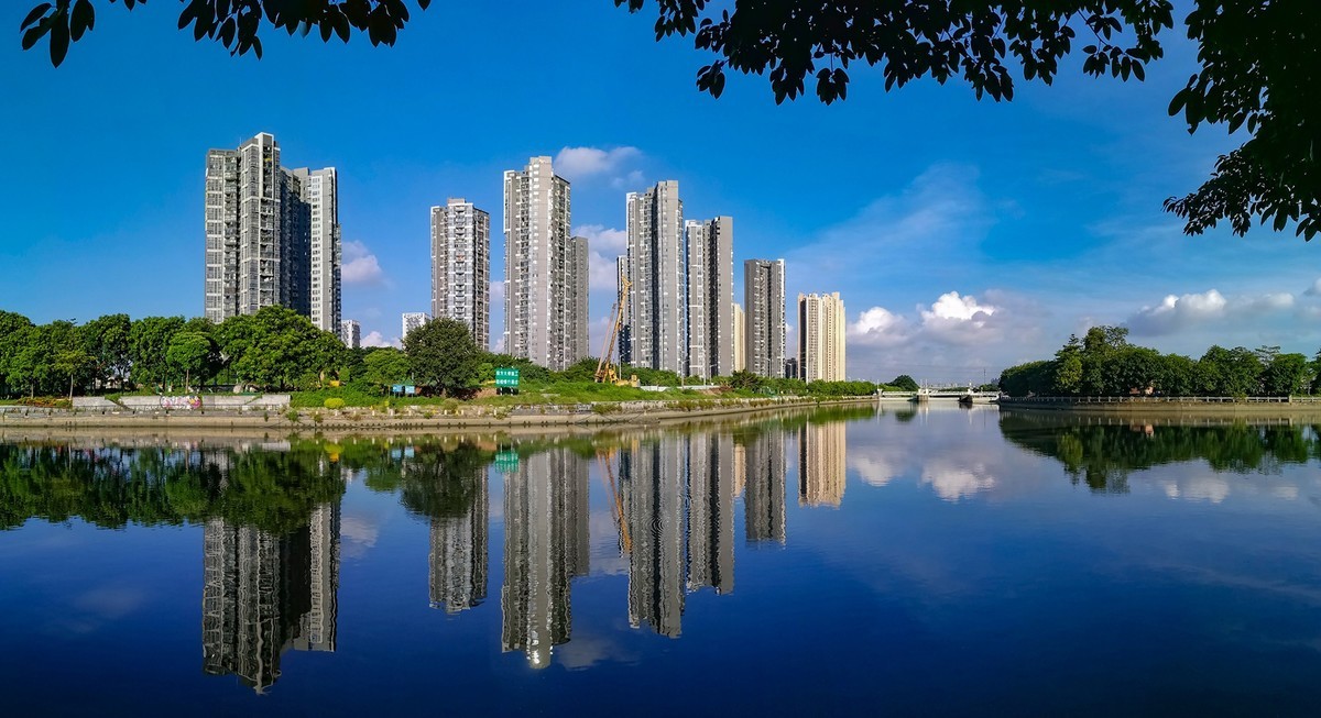 花 地 河 晨 运 隨 拍