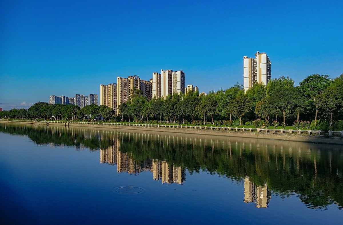 花 地 河 晨 运 隨 拍