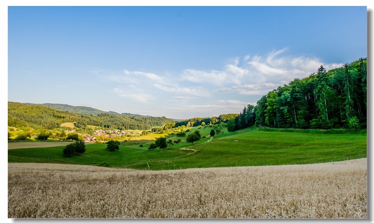 “田园交响乐”（德）