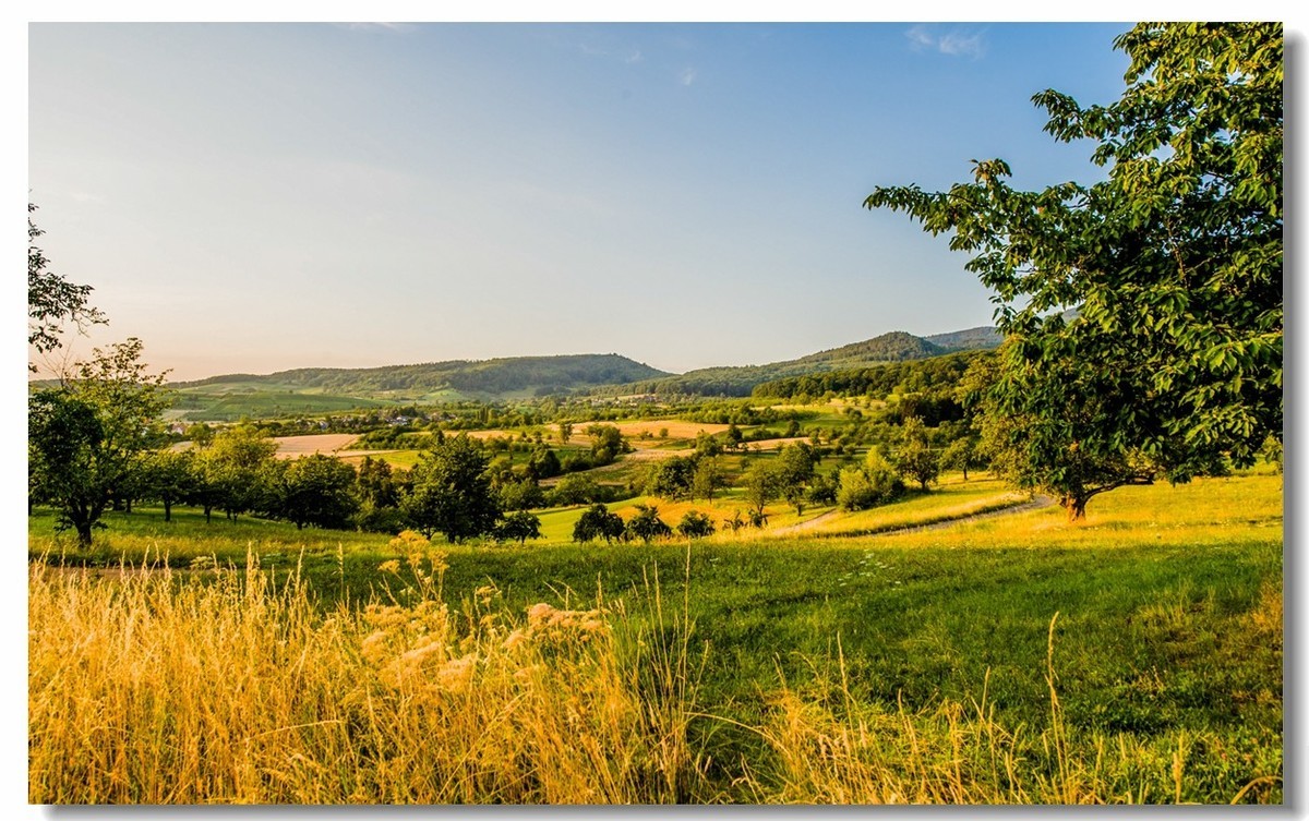 “田园交响乐”（德）