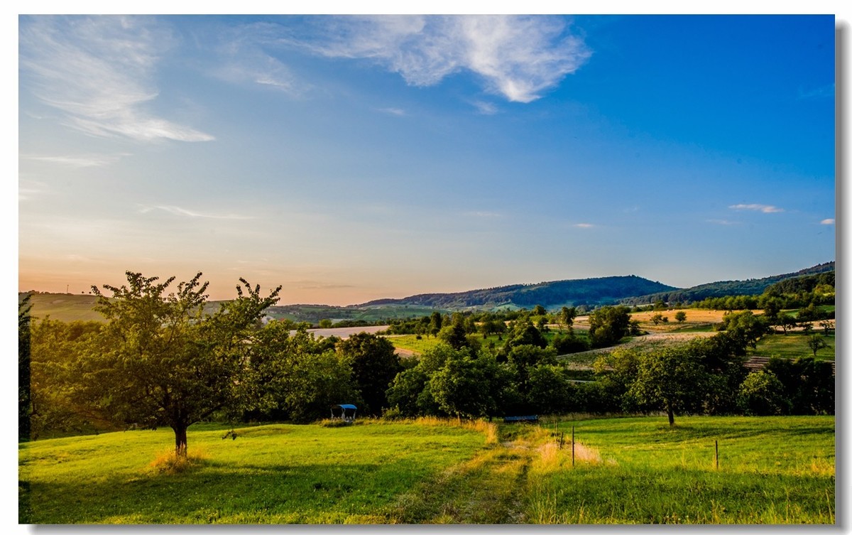 “田园交响乐”（德）
