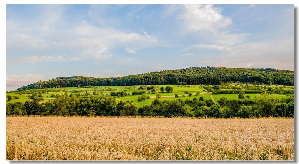 “田园交响乐”（德）