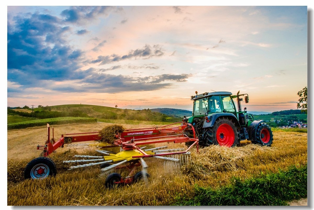 “田园交响乐”（德）