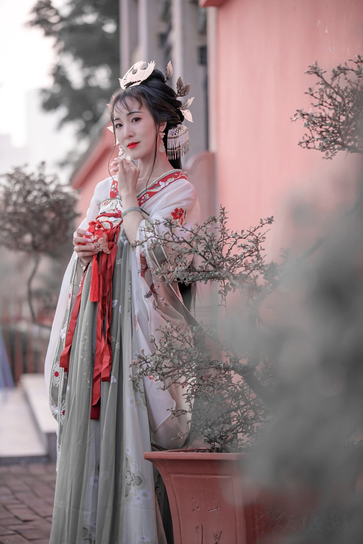 花恋蝶时蝶恋花