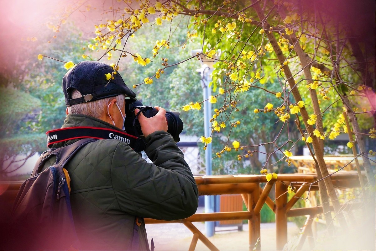 【梅景】——摄于上海桂林公园