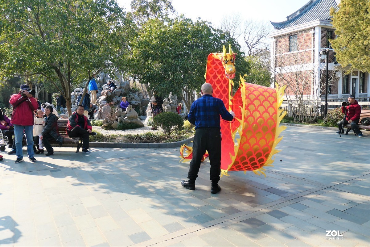 【舞龙】——摄于上海桂林公园
