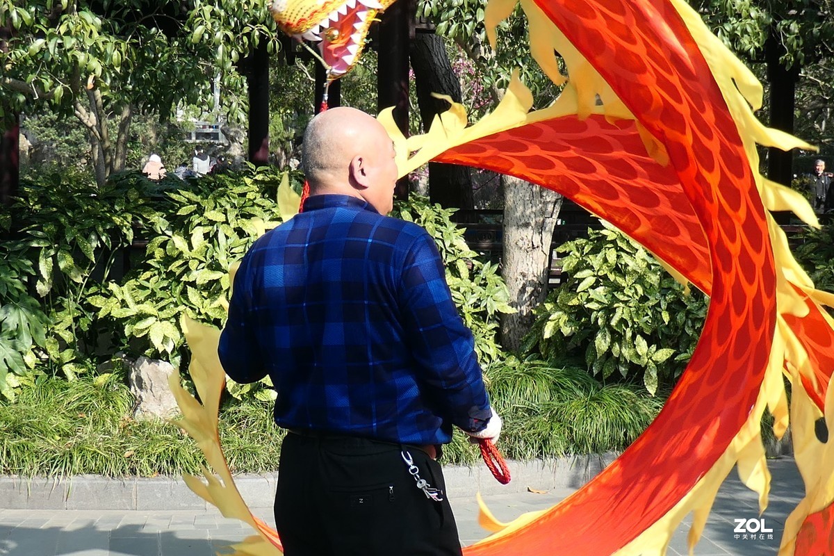 【舞龙】——摄于上海桂林公园