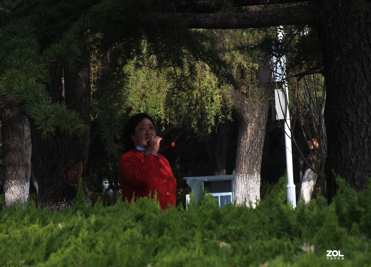 春天公园的速写-12P