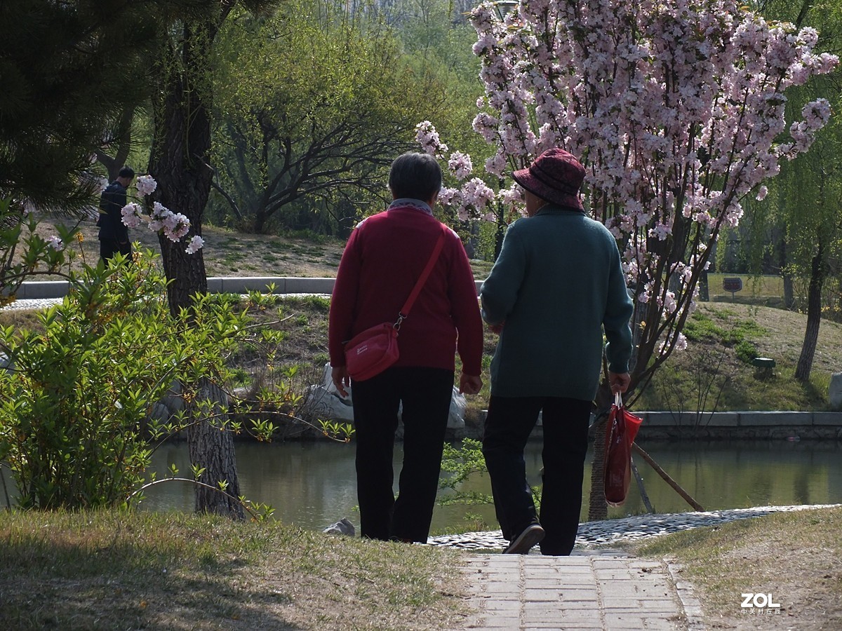 春天公园的速写-12P