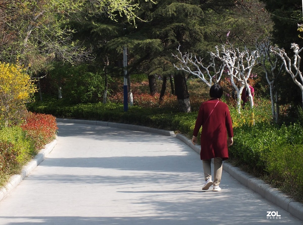 春天公园的速写-12P