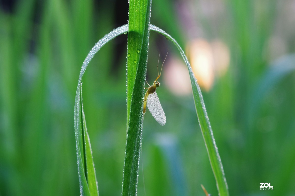 #微中有你#猎奇