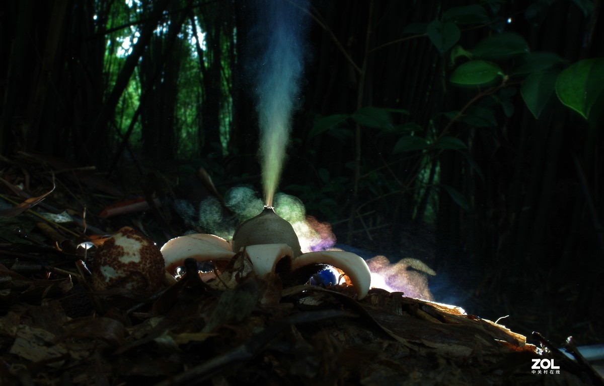 #微中有你#猎奇