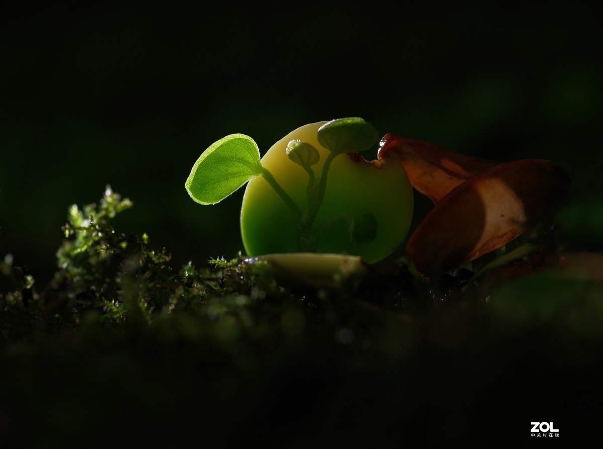 #微中有你#猎奇