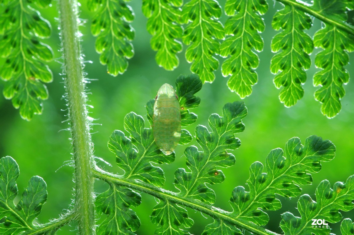 #微中有你#猎奇