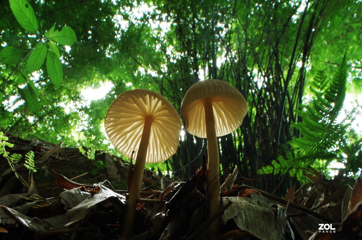 #微中有你#猎奇