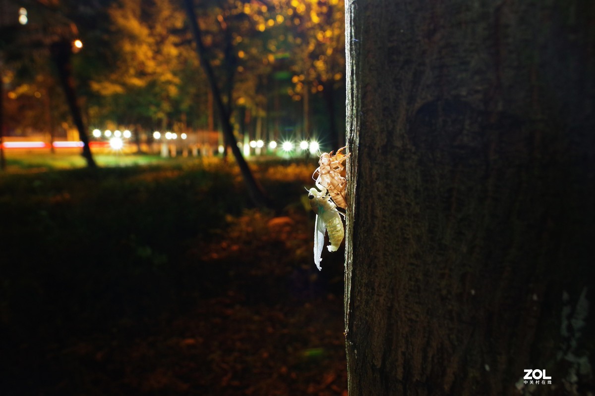 #微中有你#猎奇