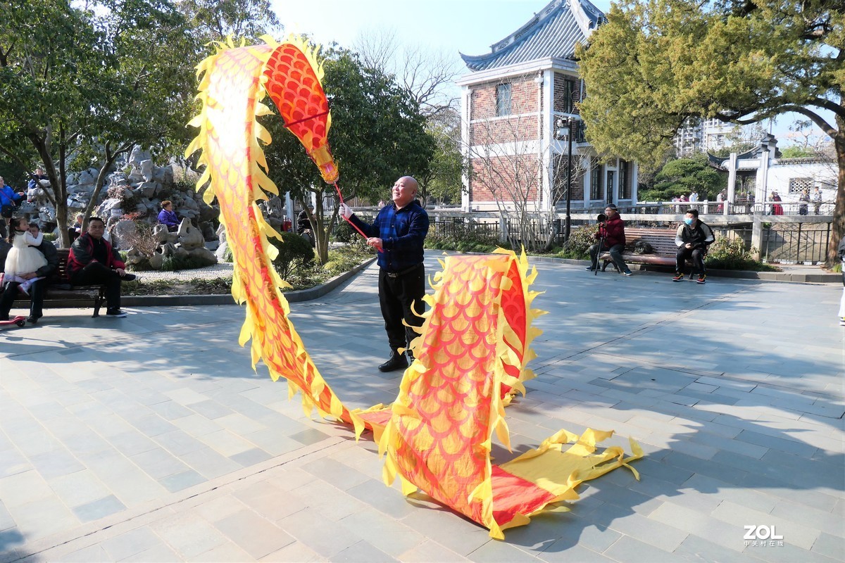 【舞龙】——摄于上海桂林公园