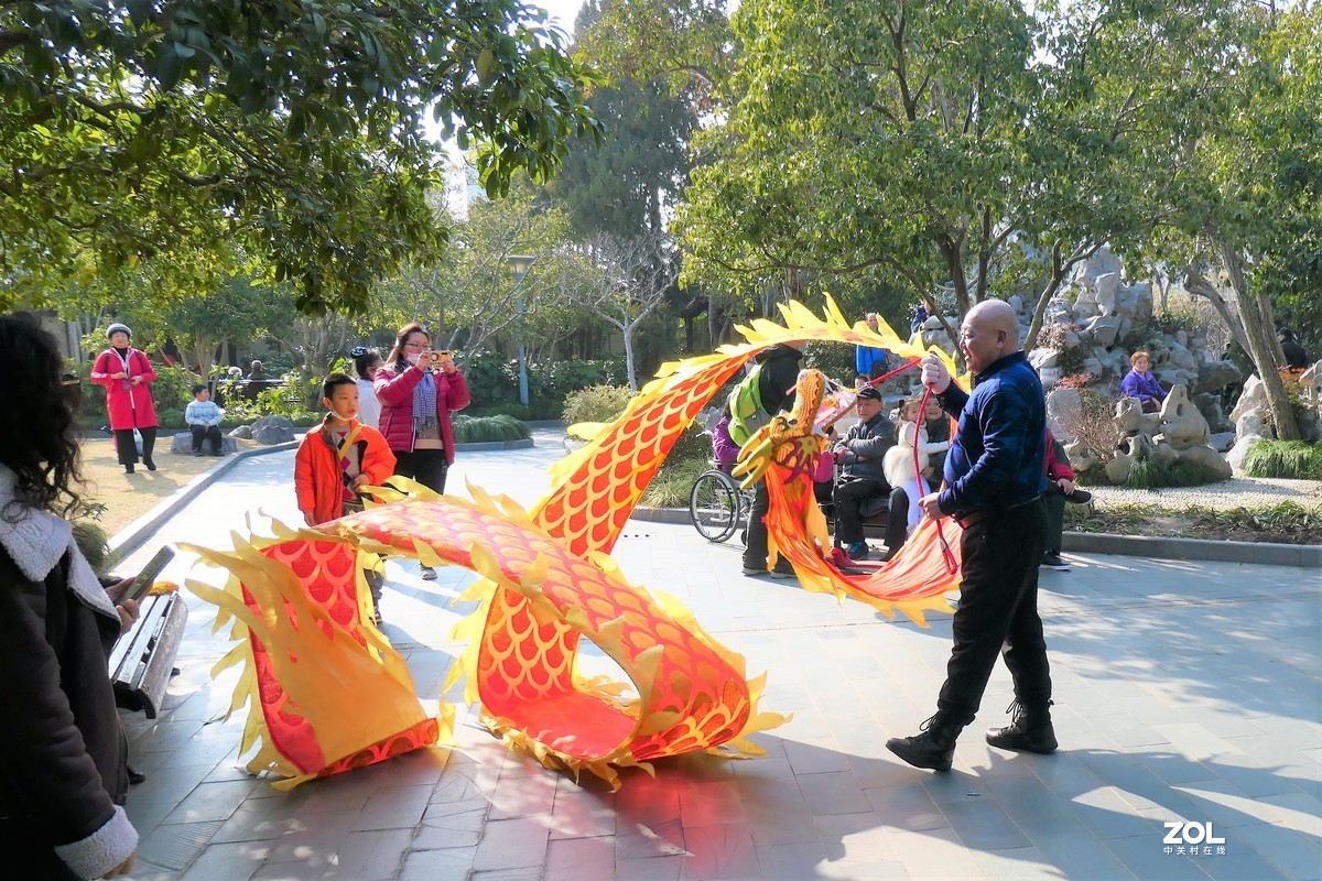 【舞龙】——摄于上海桂林公园