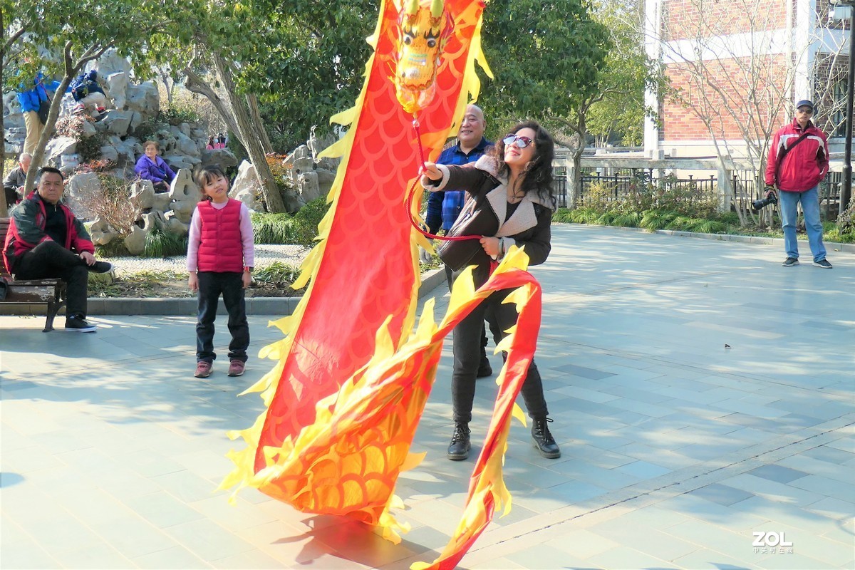 【舞龙】——摄于上海桂林公园