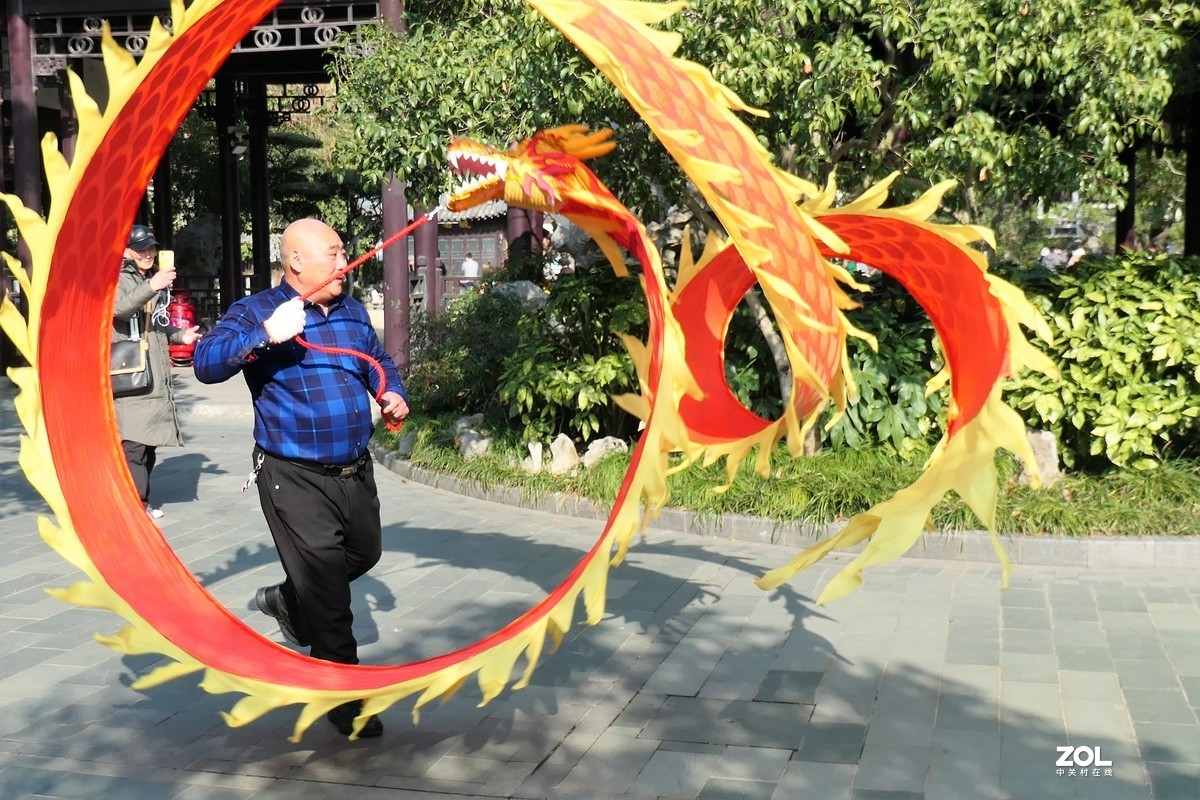 【舞龙】——摄于上海桂林公园