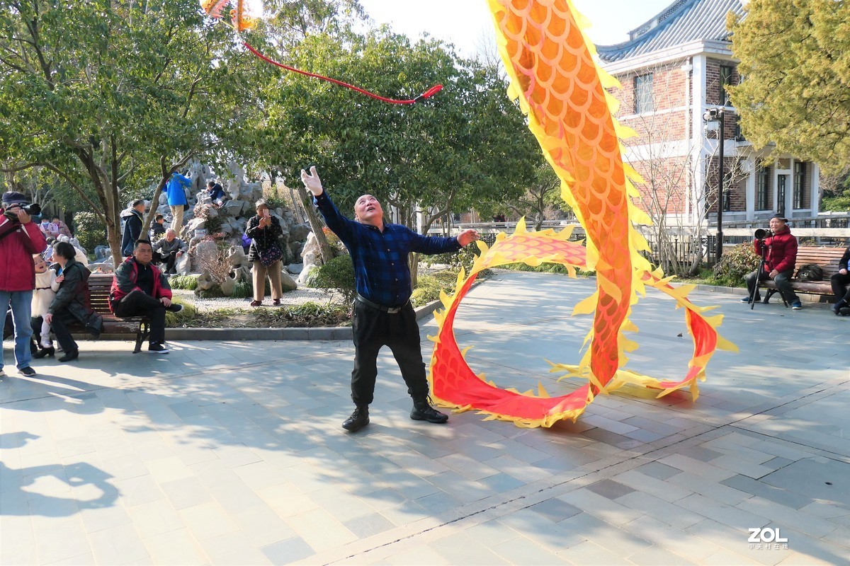 【舞龙】——摄于上海桂林公园