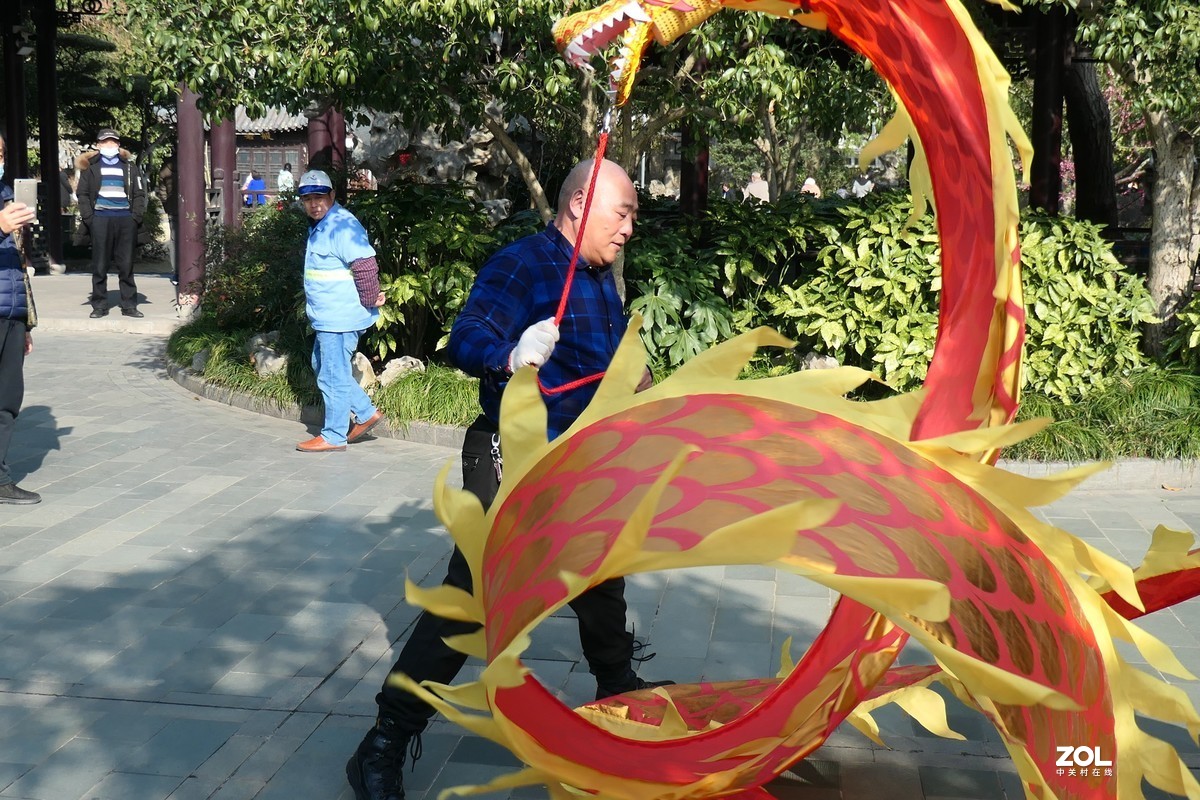 【舞龙】——摄于上海桂林公园