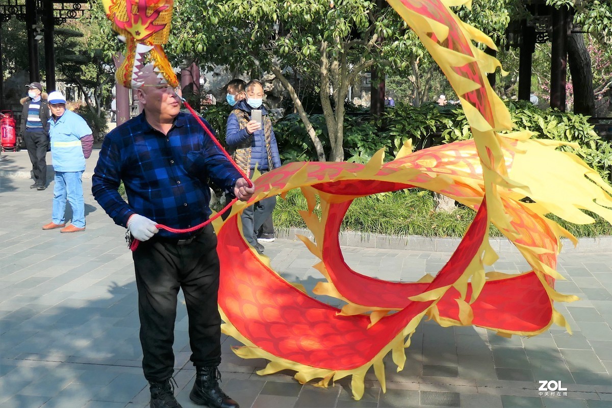 【舞龙】——摄于上海桂林公园