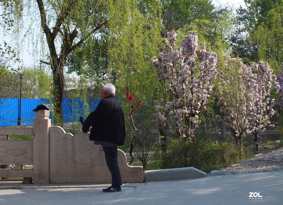 春天公园的速写-12P