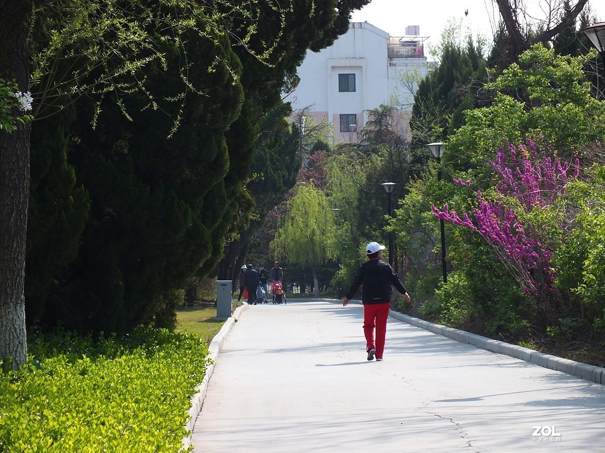 春天公园的速写-12P