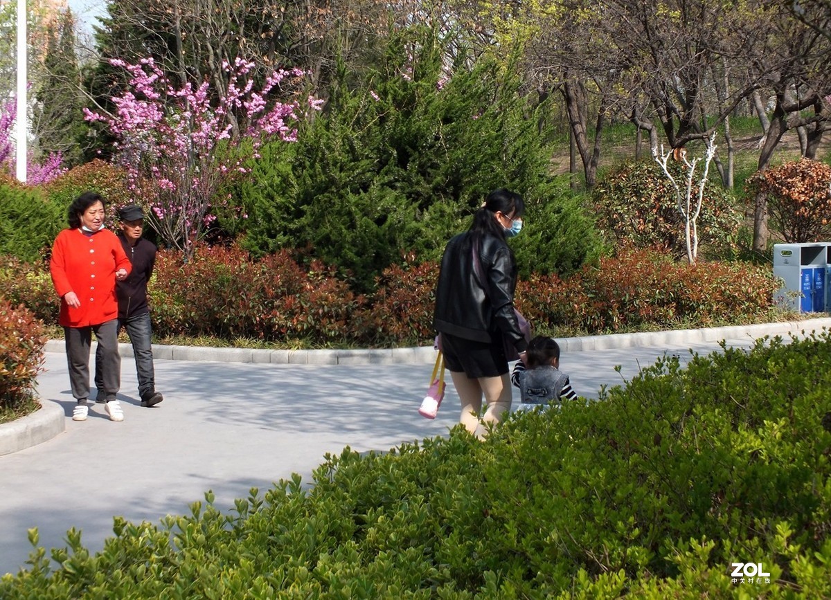 春天公园的速写-12P