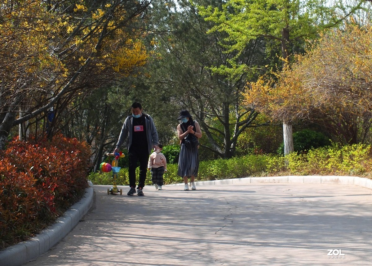 春天公园的速写-12P