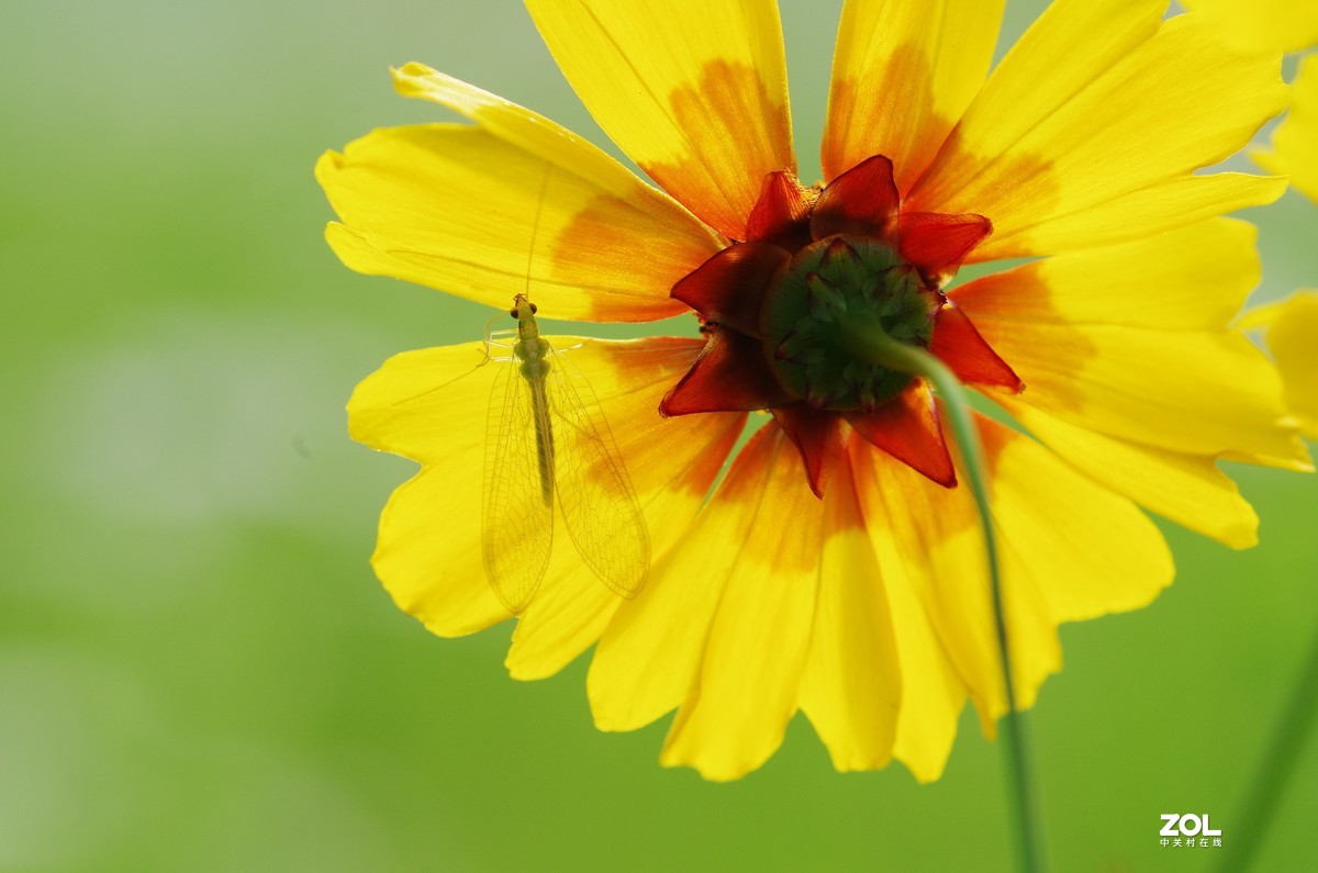 #微中有你#猎奇