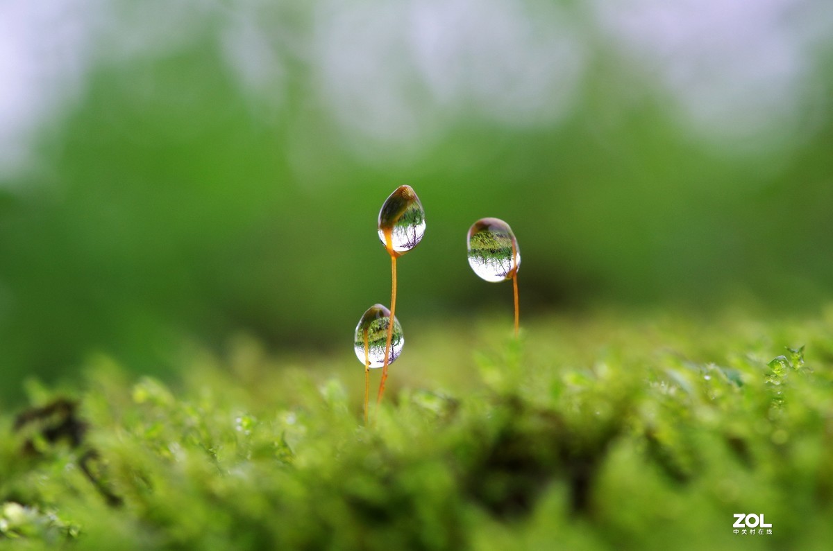 #微中有你#猎奇