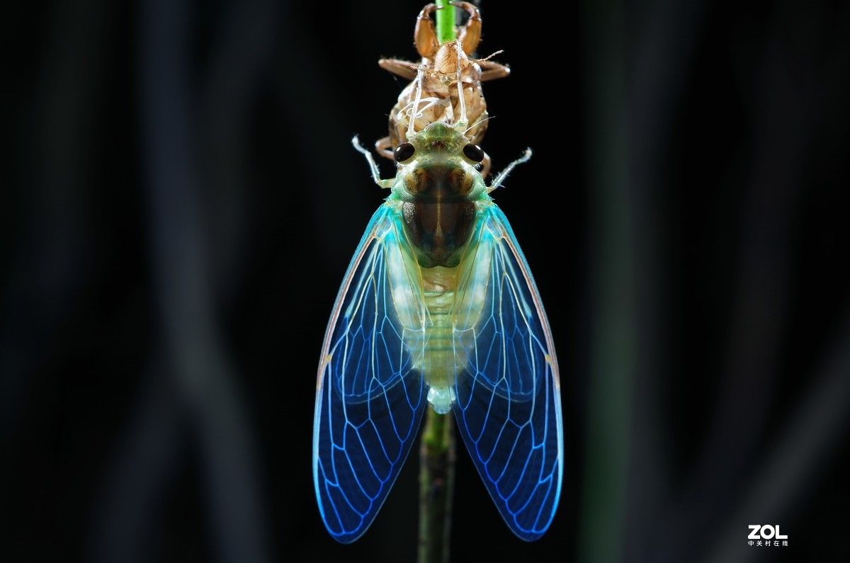 #微中有你#猎奇