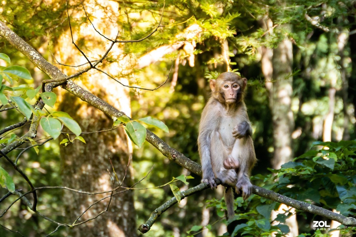 张家界2日游玩随拍