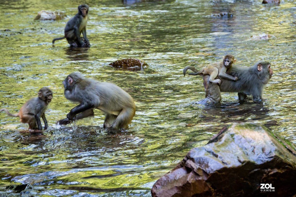 张家界2日游玩随拍