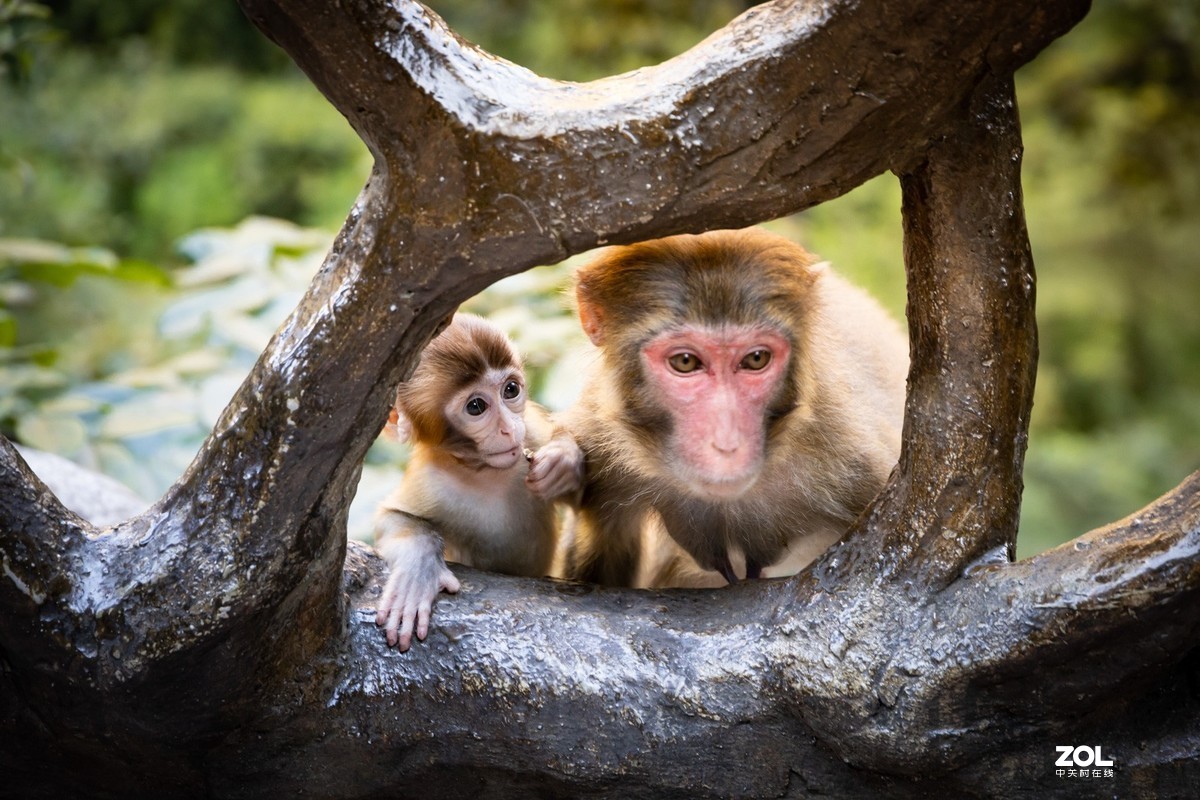 张家界2日游玩随拍