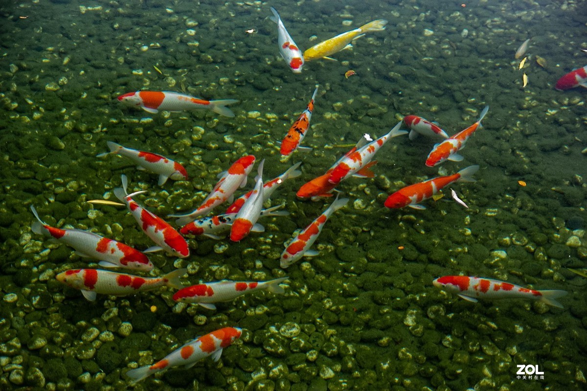 周日再次体验a16