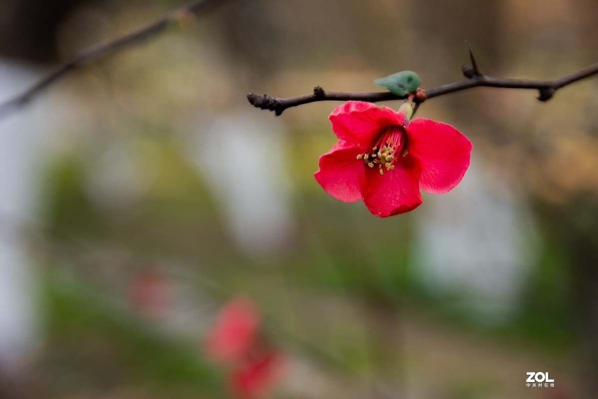 周日再次体验a16