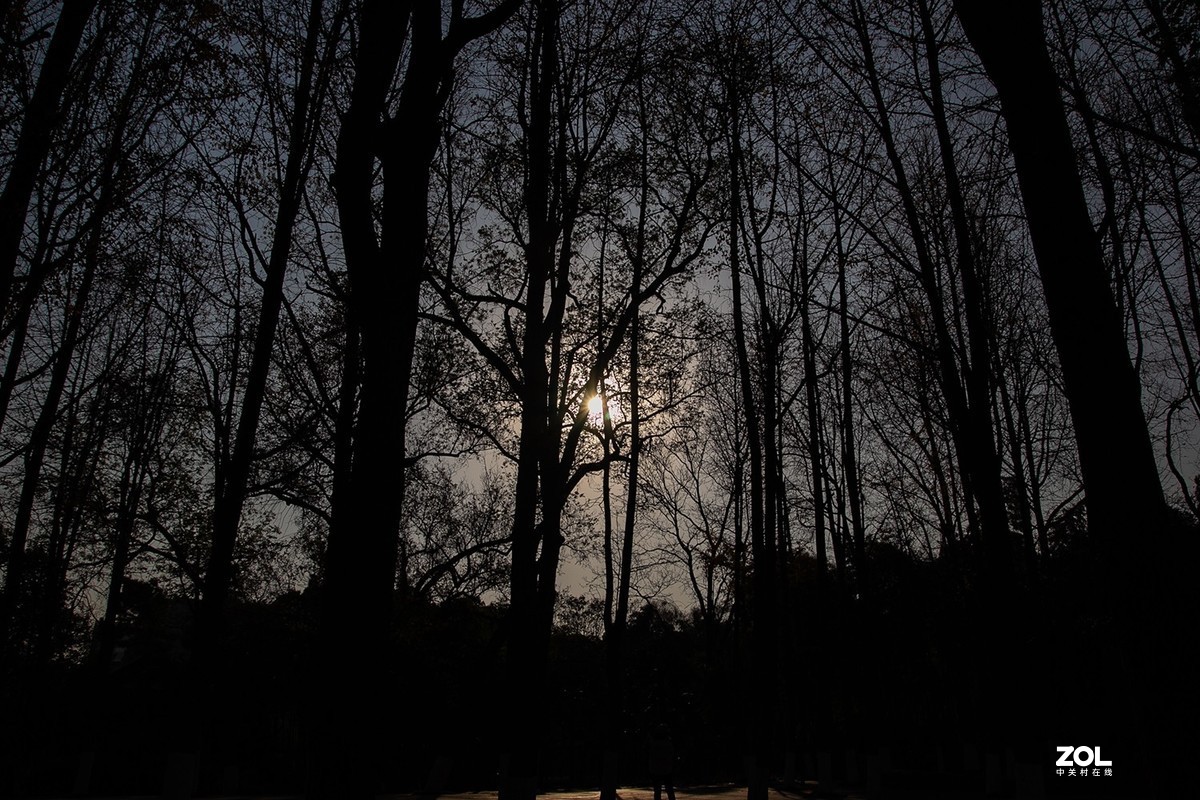 周日再次体验a16