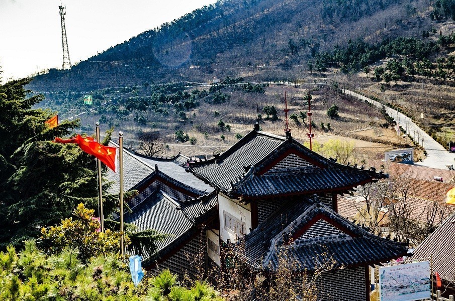 世界莲花藏  行人香火缘  灯王照不尽  中夜寂相传  鳌山卫东金山庙
