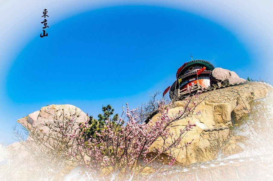 世界莲花藏  行人香火缘  灯王照不尽  中夜寂相传  鳌山卫东金山庙