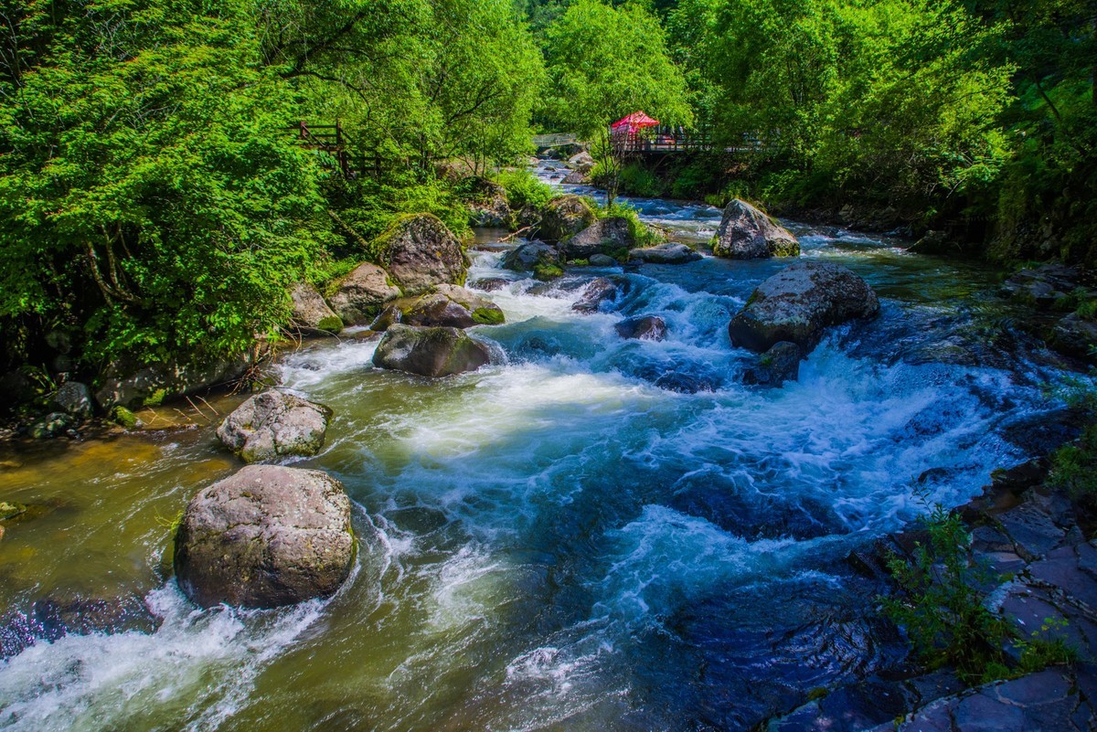 长白山行望天鹅风景区二