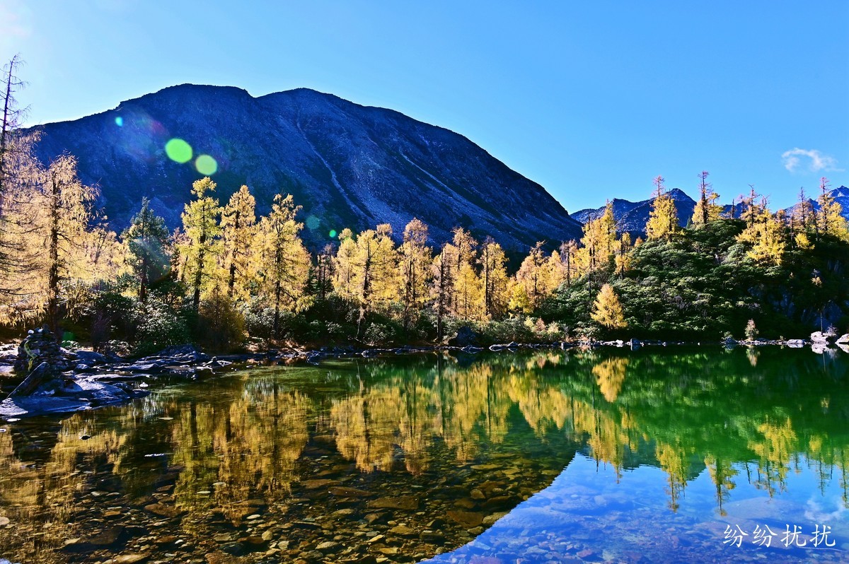 尼康Z6II第一次外拍