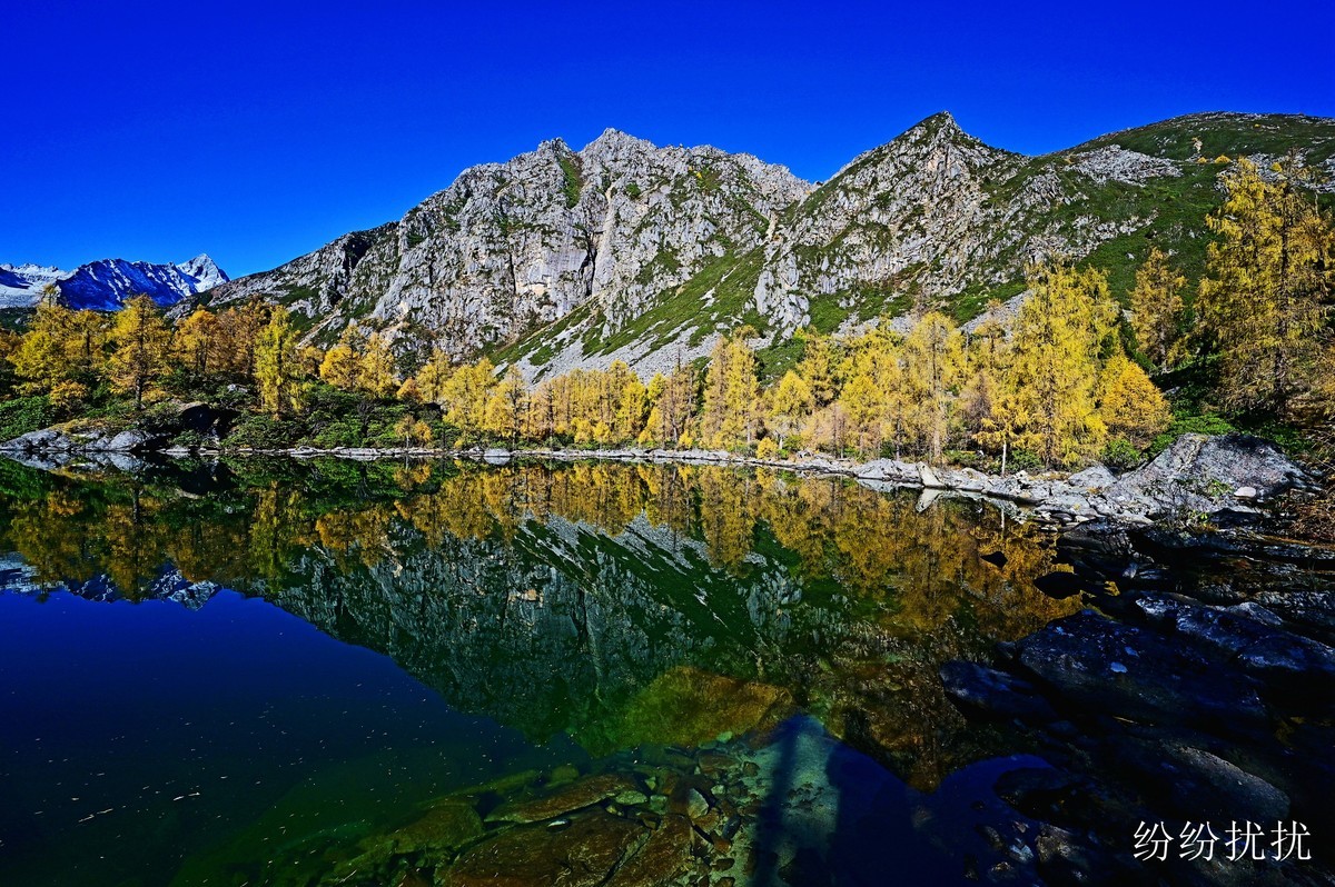 尼康Z6II第一次外拍