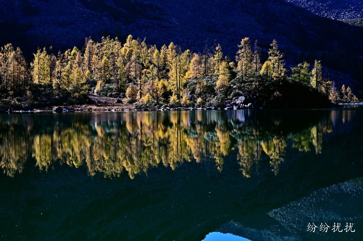 尼康Z6II第一次外拍